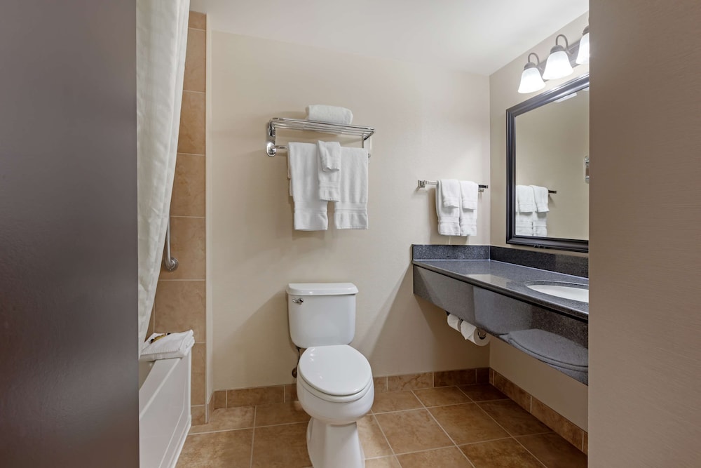 Suite, 1 King Bed, Non Smoking, Jetted Tub - Photo 5