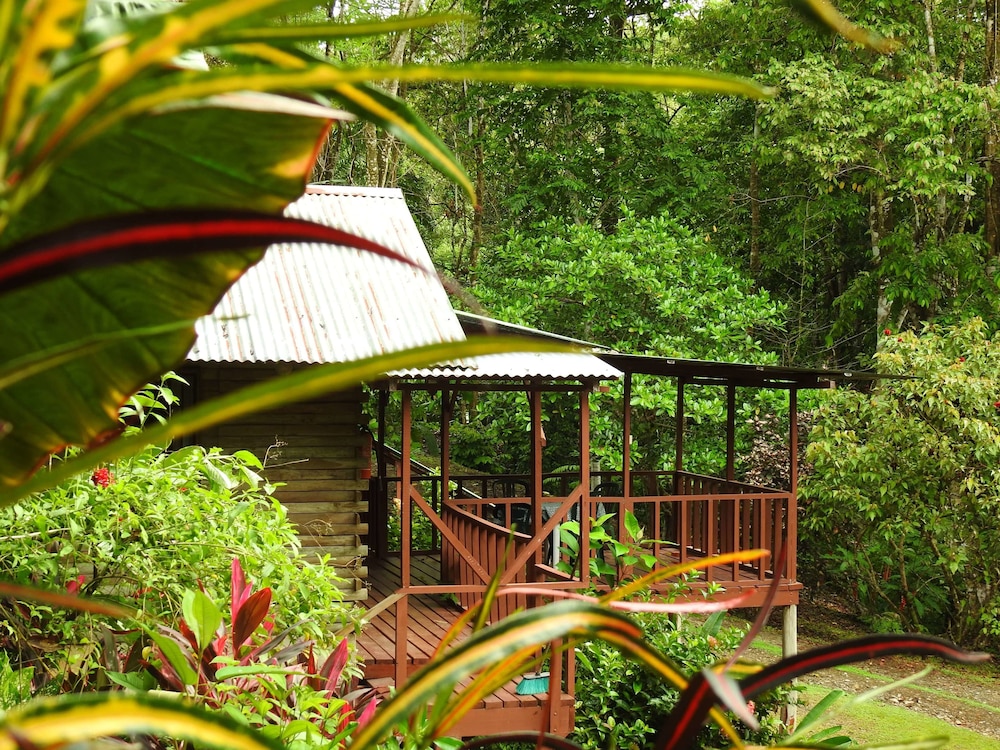 Standard Cabin, Garden View (09A) photo 2