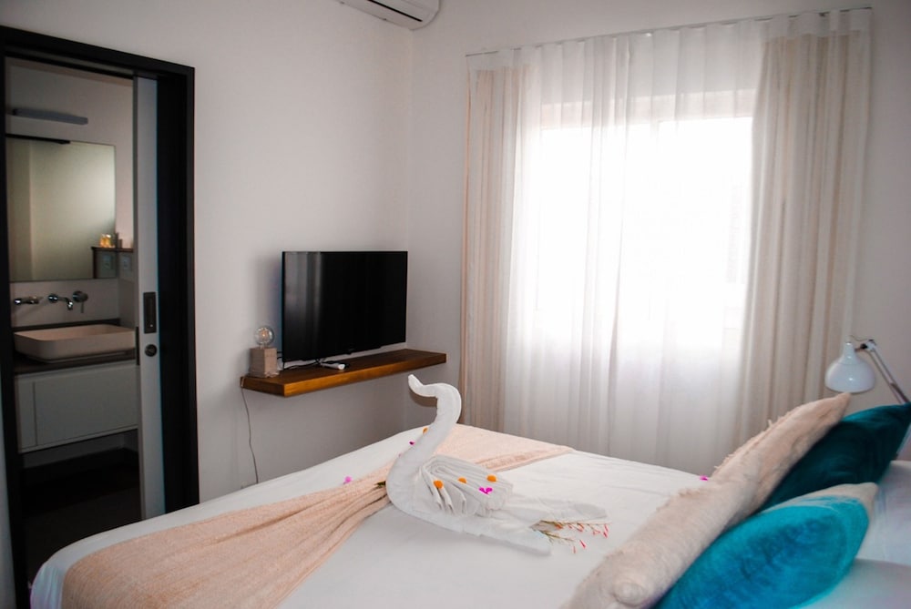 Luxury Apartment