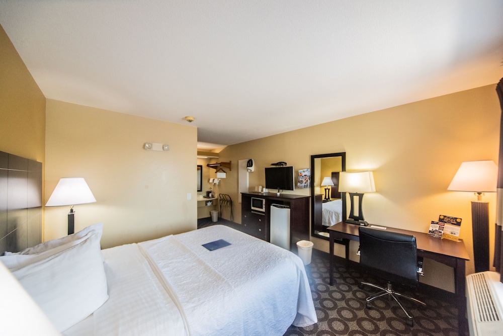 Standard Room, 1 Queen Bed, Non Smoking (No Pets)