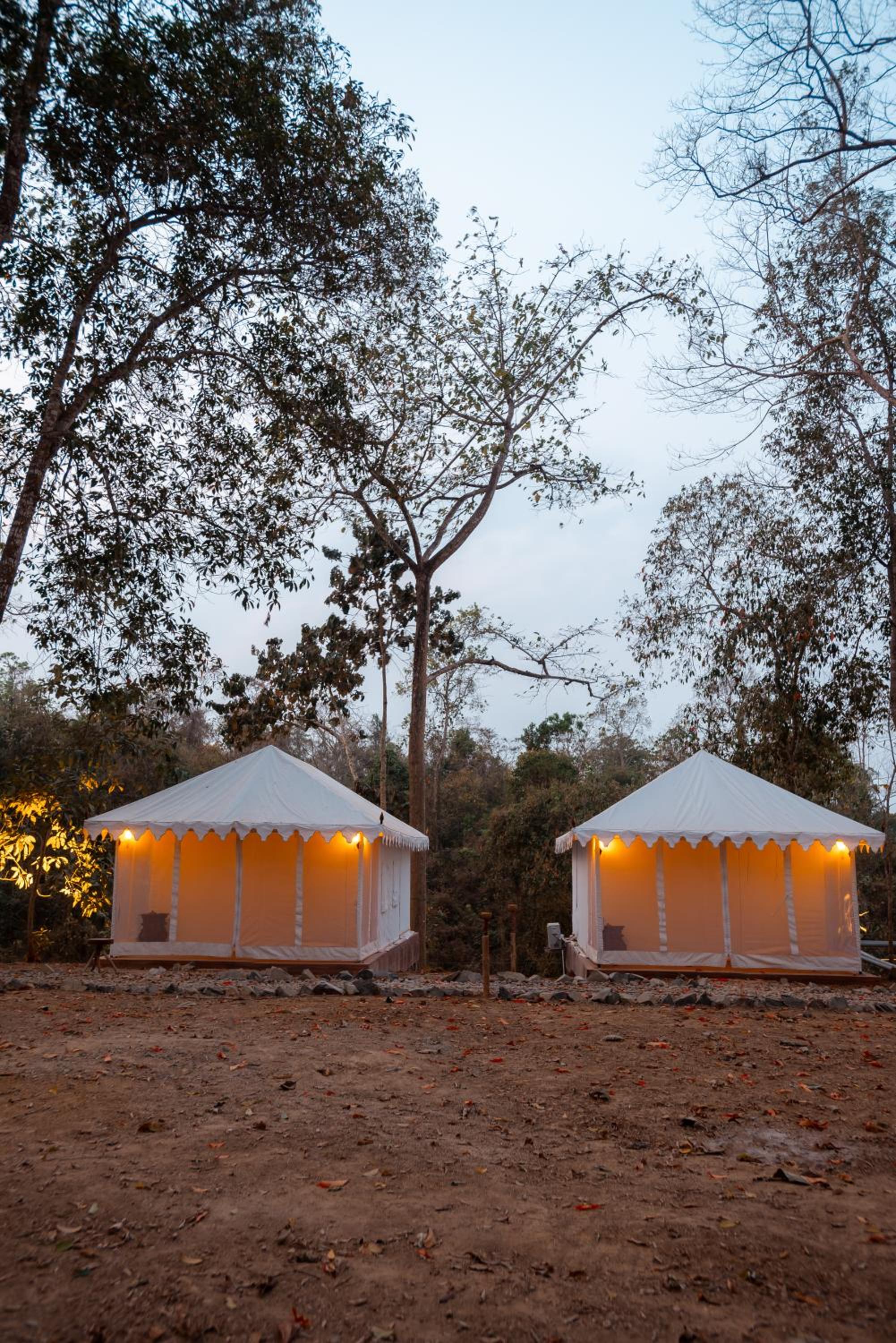 Tent photo 2