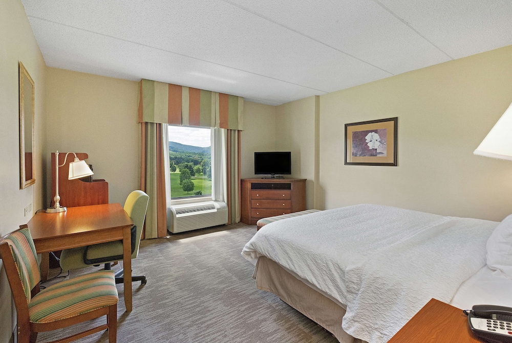 Room, 1 King Bed, Accessible - Photo 2