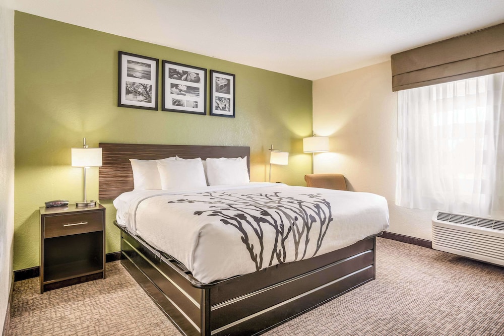 Standard Single Room, 1 King Bed - Photo 1