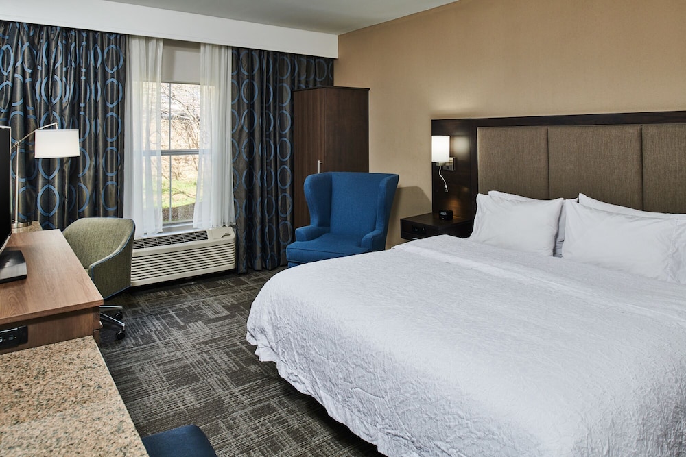 Room, 1 King Bed, Accessible photo 2