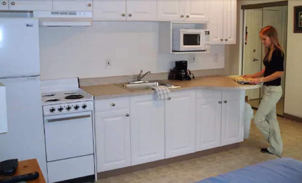 Standard Room, Multiple Beds, Kitchenette photo 3