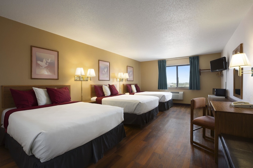Studio Suite, Multiple Beds, Non Smoking - Photo 1