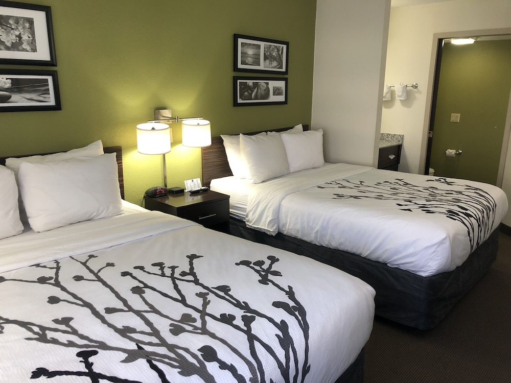 Standard Room, 2 Queen Beds, Non Smoking, Refrigerator & Microwave - Photo 2