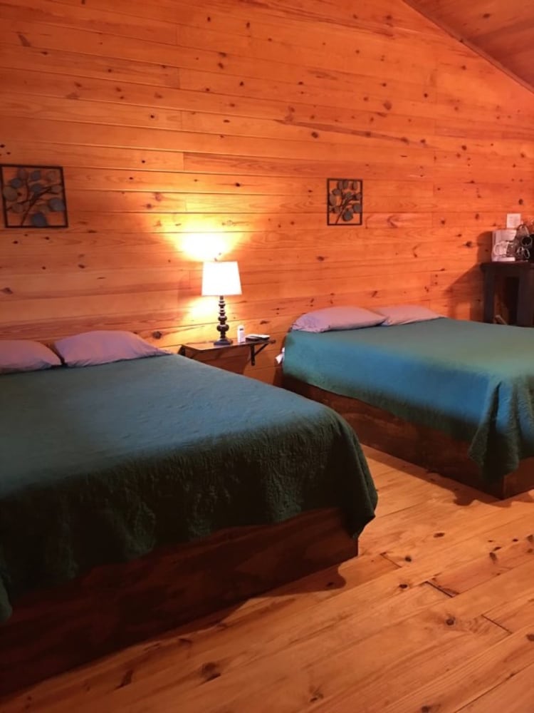Studio, 2 Queen Beds photo 1