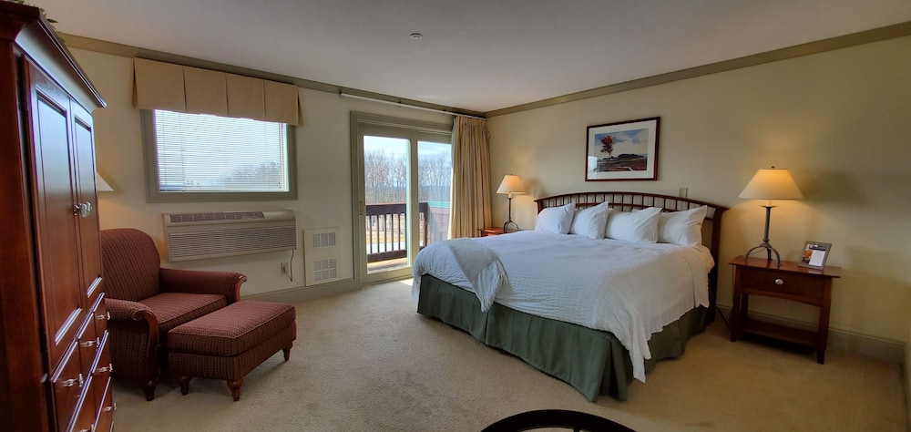 Room, 1 King Bed photo 3