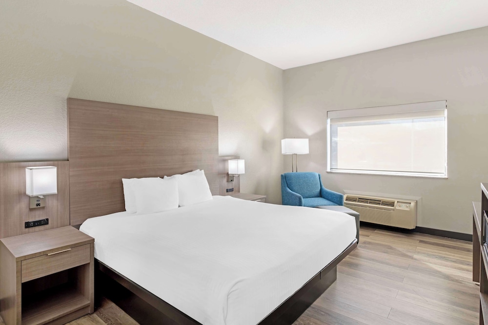 Standard Room, 1 King Bed, Accessible, Refrigerator & Microwave (Walk-in Shower) photo 1