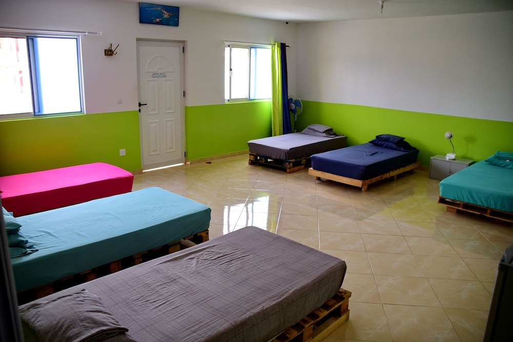 Basic Shared Dormitory (Bed in Dorm #2) photo 1
