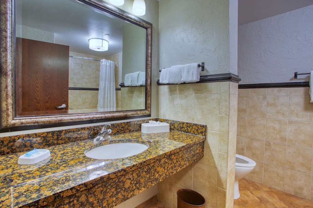 Deluxe Room, 1 King Bed, Refrigerator & Microwave - Photo 6