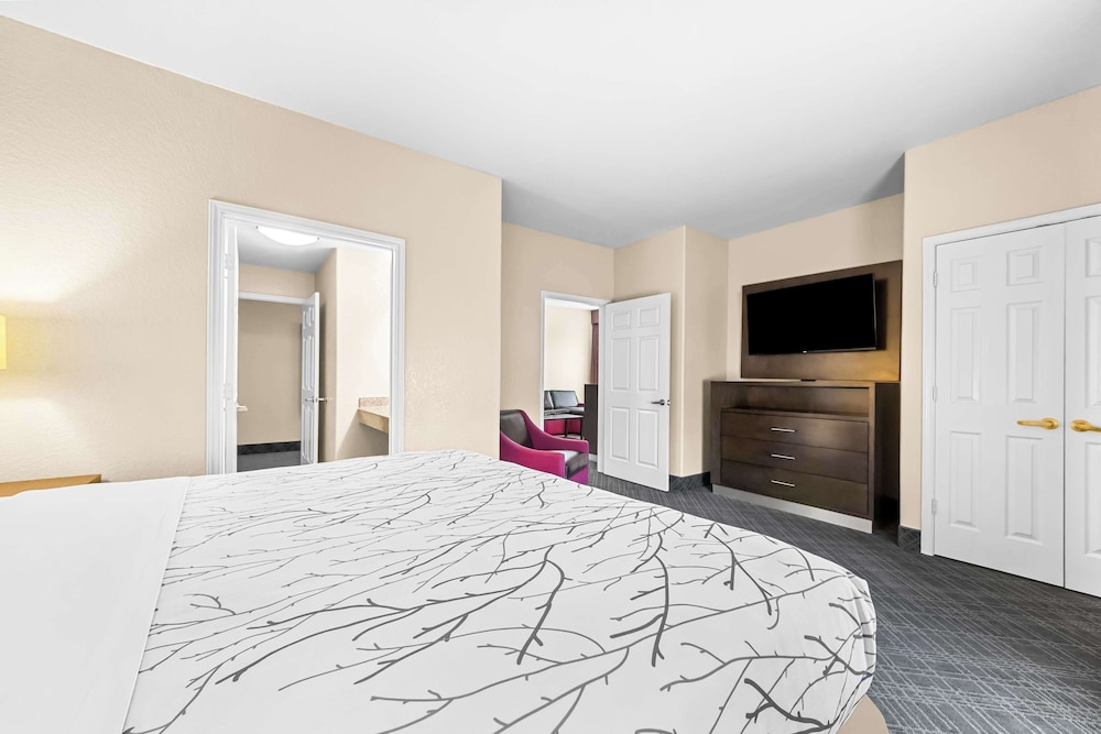 Suite, 1 King Bed, Non Smoking, Refrigerator & Microwave - Photo 3