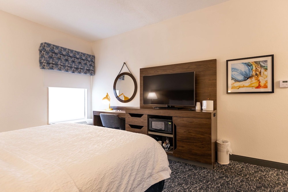 Room, 1 King Bed, Accessible (Roll-In Shower) - Photo 1