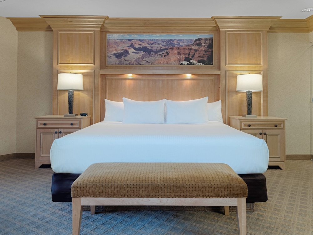Suite, 1 Bedroom - Photo 1