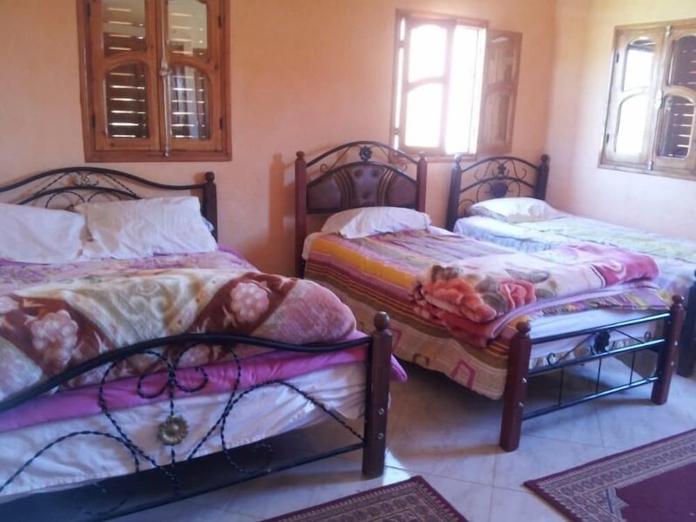 Triple Room, 3 Twin Beds photo 1