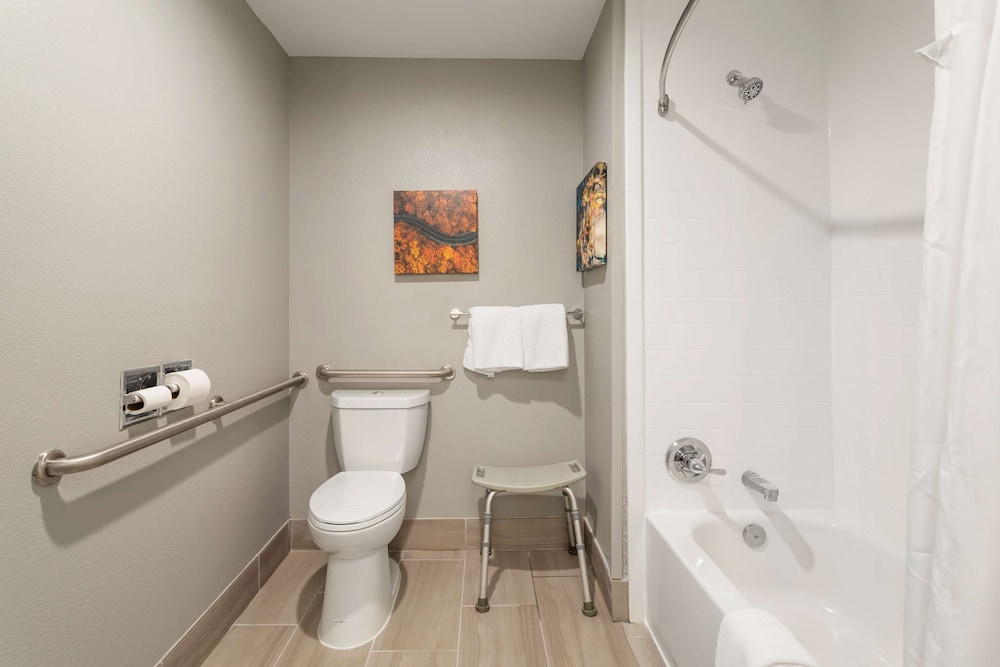 Standard Room, 1 King Bed, Accessible, Refrigerator & Microwave - Photo 3