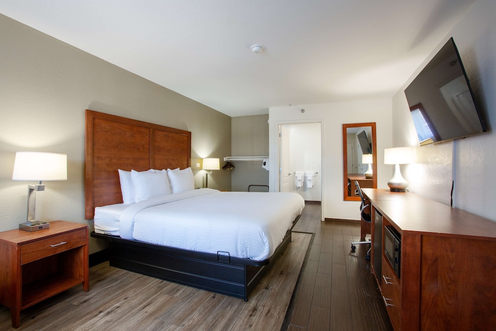 Standard Room, 1 King Bed, Accessible, Non Smoking (with Sofabed) - Photo 6