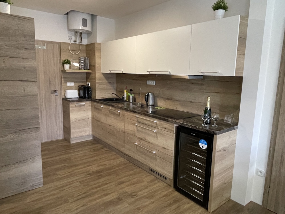Standard Apartment, 1 Bedroom, Patio (Dubovy, + Infrasauna) photo 2