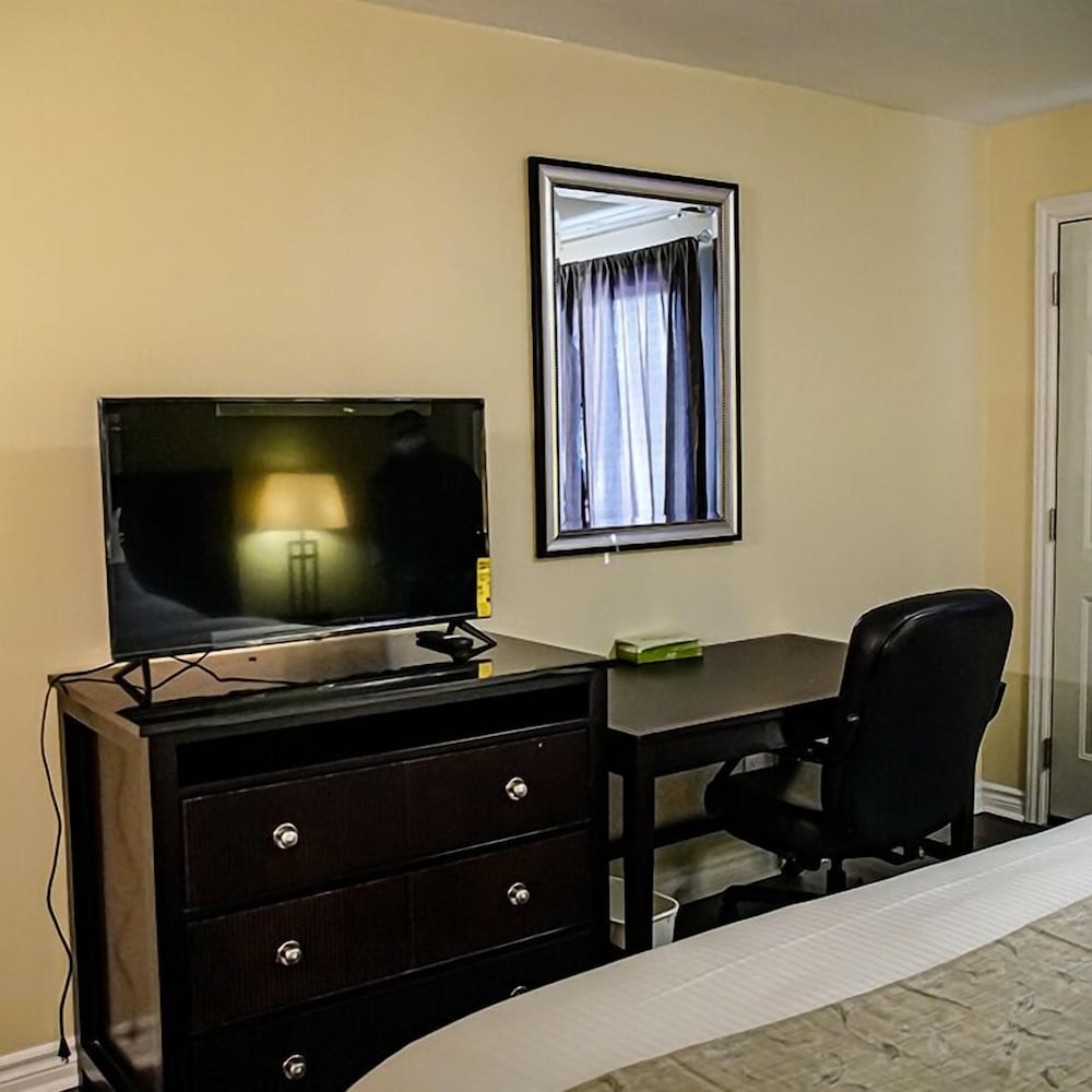 Economy Single Room photo 1