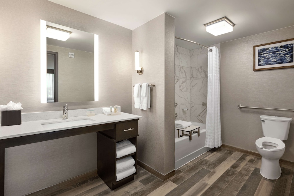 Studio, 1 King Bed, Accessible (Mobility & Hearing, Roll-in Shower) - Photo 6
