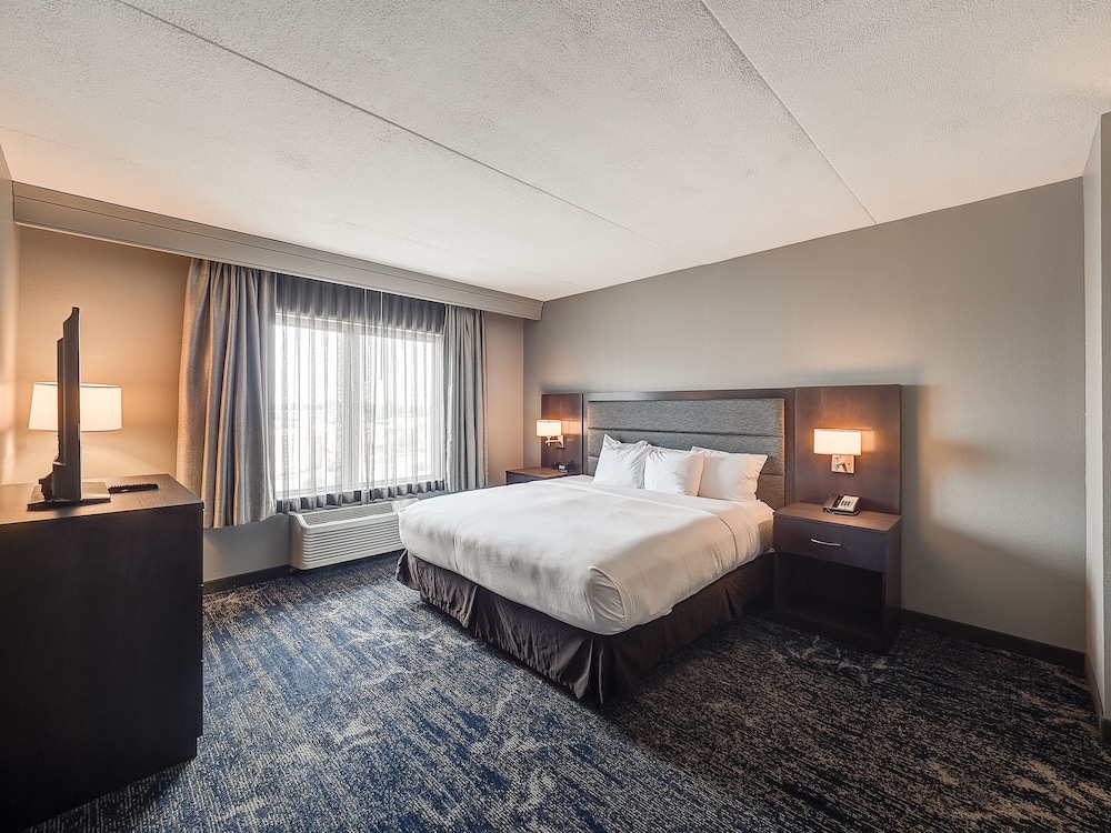Executive Suite, 1 King Bed photo 1