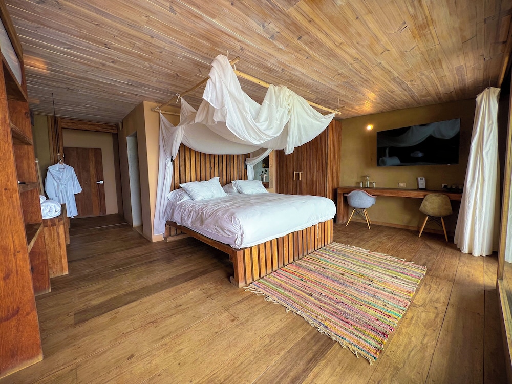Luxury Room photo 1