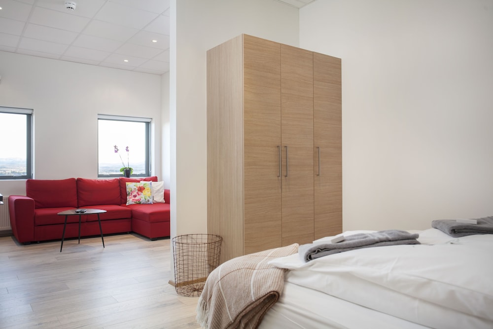 Blue Mountain Apartments- Economy Studio photo 3