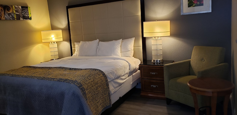 Traditional Single Room, 1 King Bed, Smoking