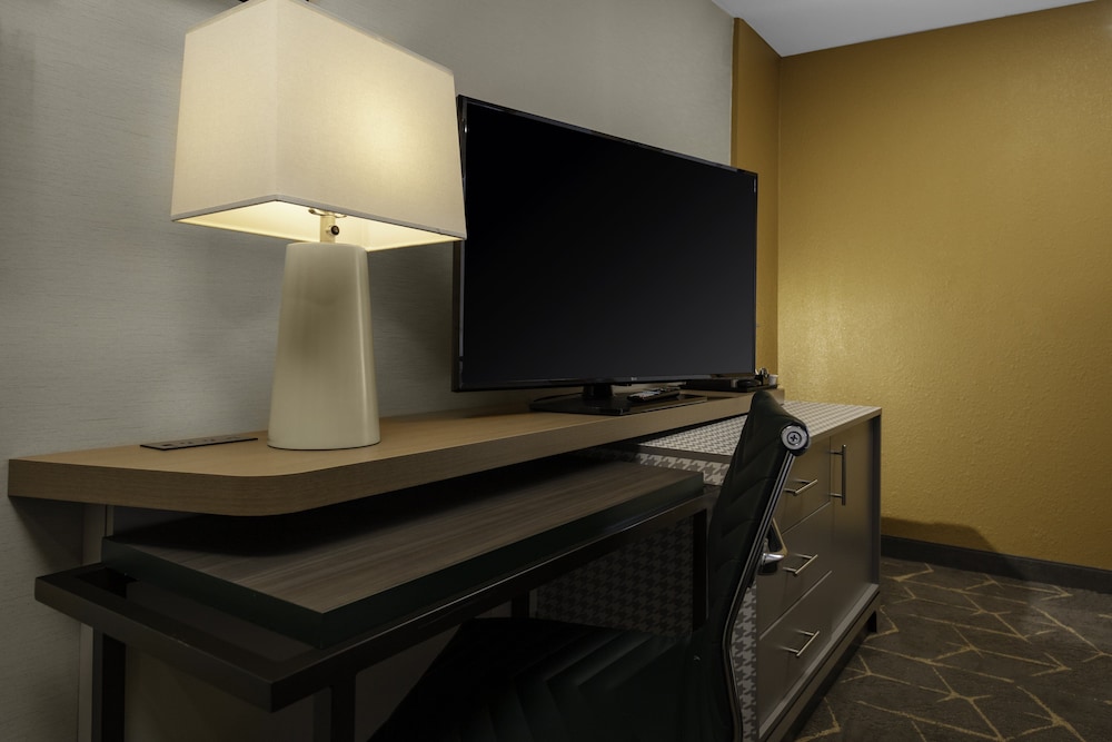 Suite, 1 King Bed photo 2