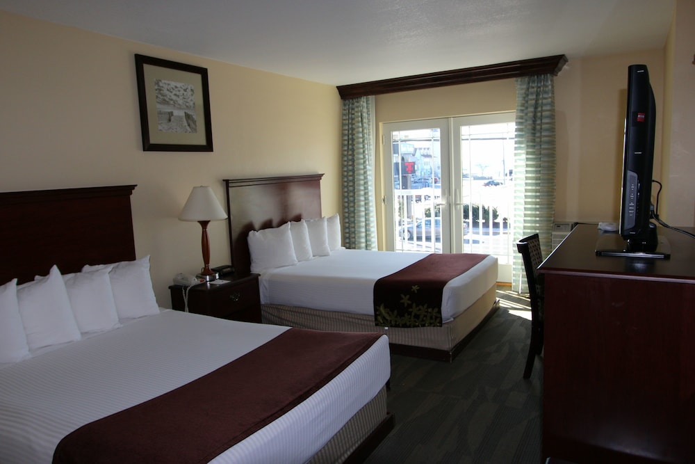Standard Double Room, Refrigerator & Microwave photo 1