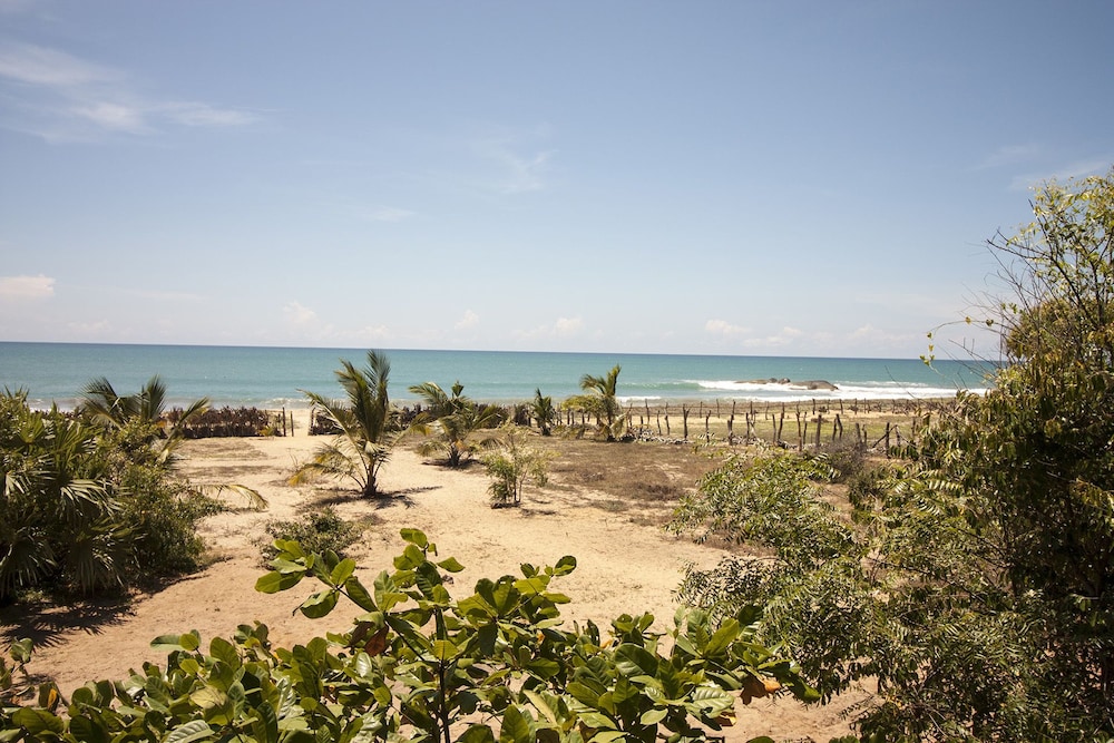 Panoramic Tree House, Ocean View, Beachfront photo 3