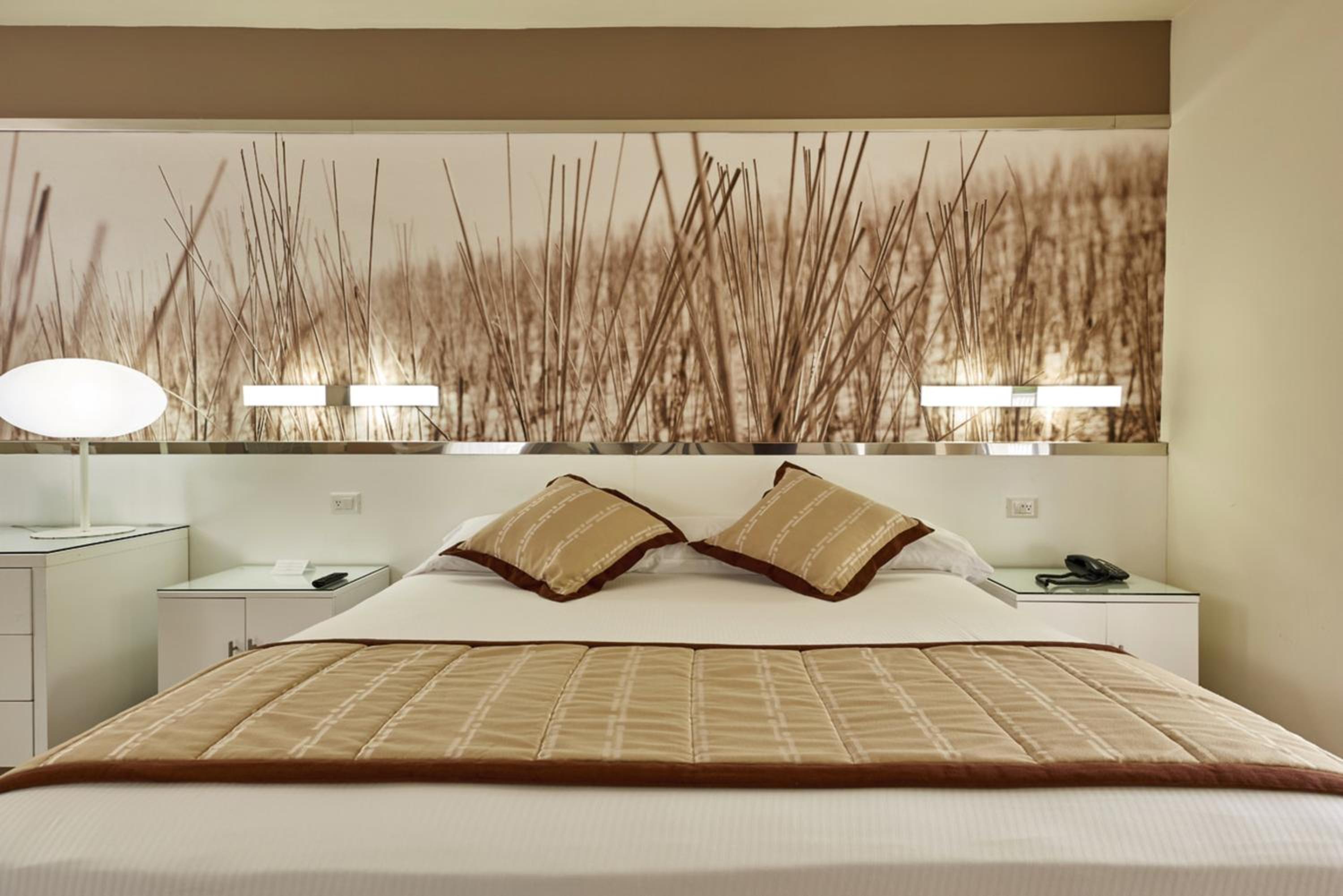 Suite - Photo 1