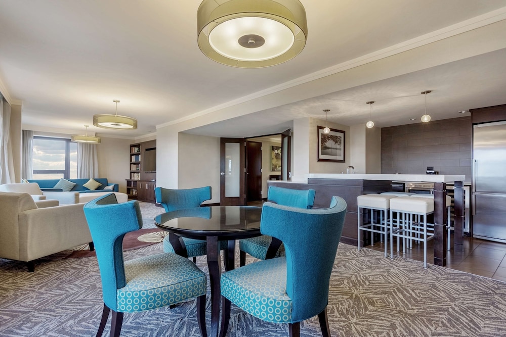 Presidential Suite, 1 King Bed photo 1