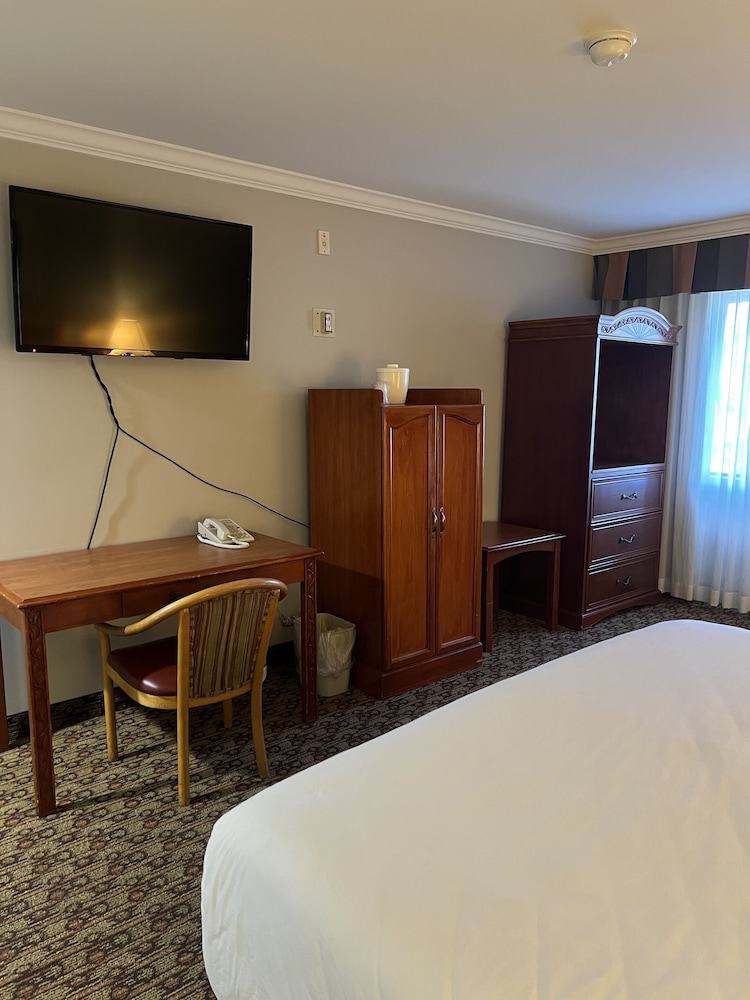 Standard Room, 1 King Bed, Accessible, Non Smoking photo 2