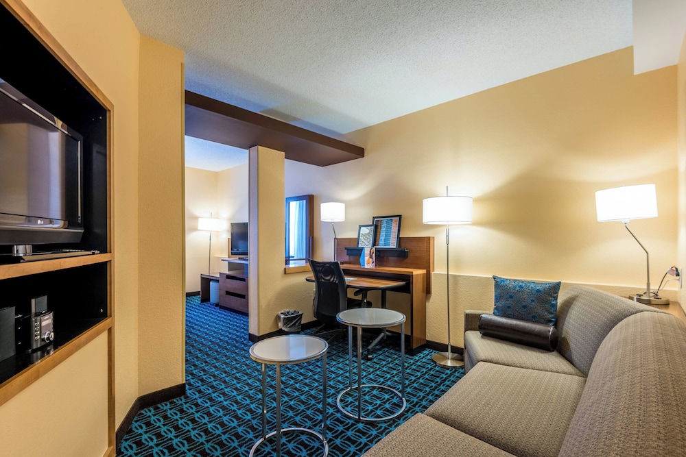 Suite, 1 King Bed with Sofa bed