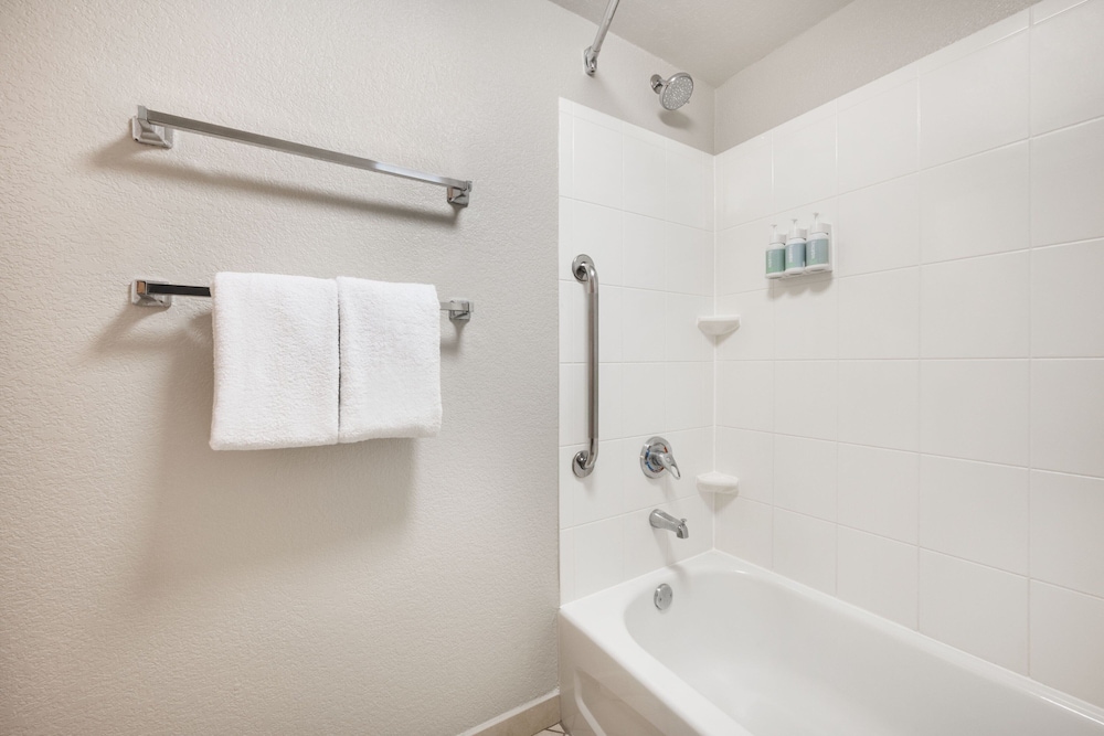 Suite, 1 Bedroom - Photo 5