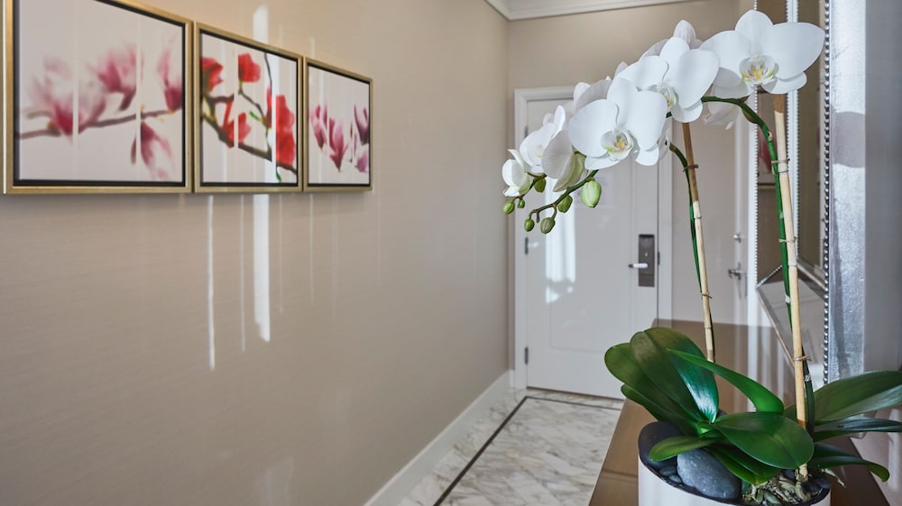 Penthouse (Suite)