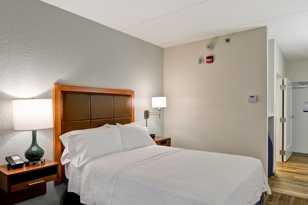 Suite, 1 King Bed photo 3