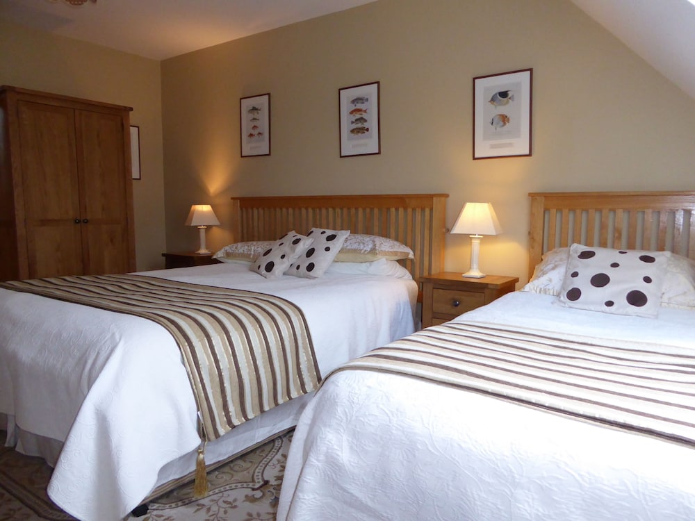 Double Single Room photo 3