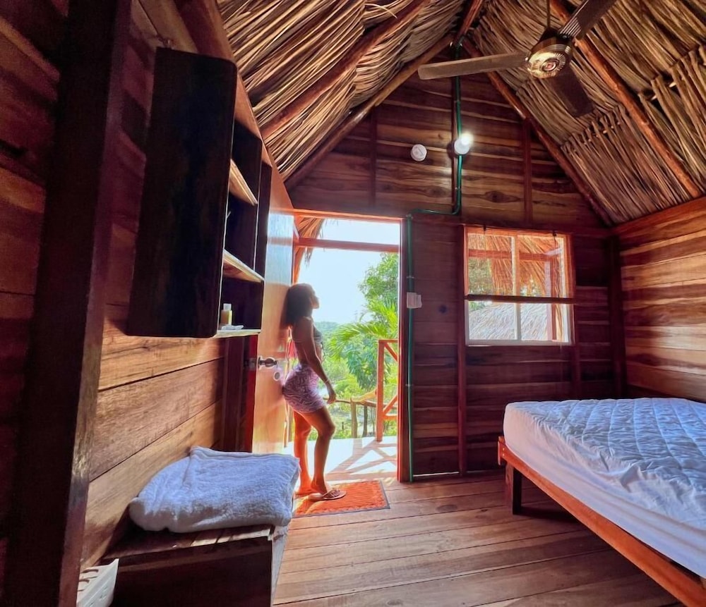 Basic Cabin photo 2