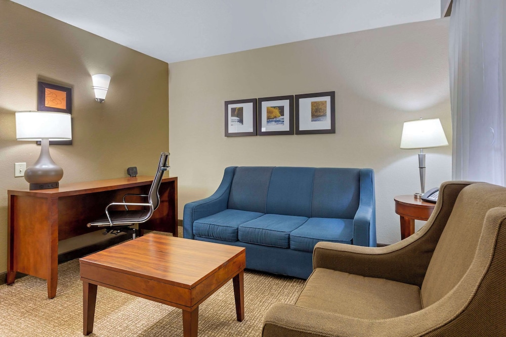 Suite, 1 King Bed with Sofa bed, Accessible, Non Smoking photo 1