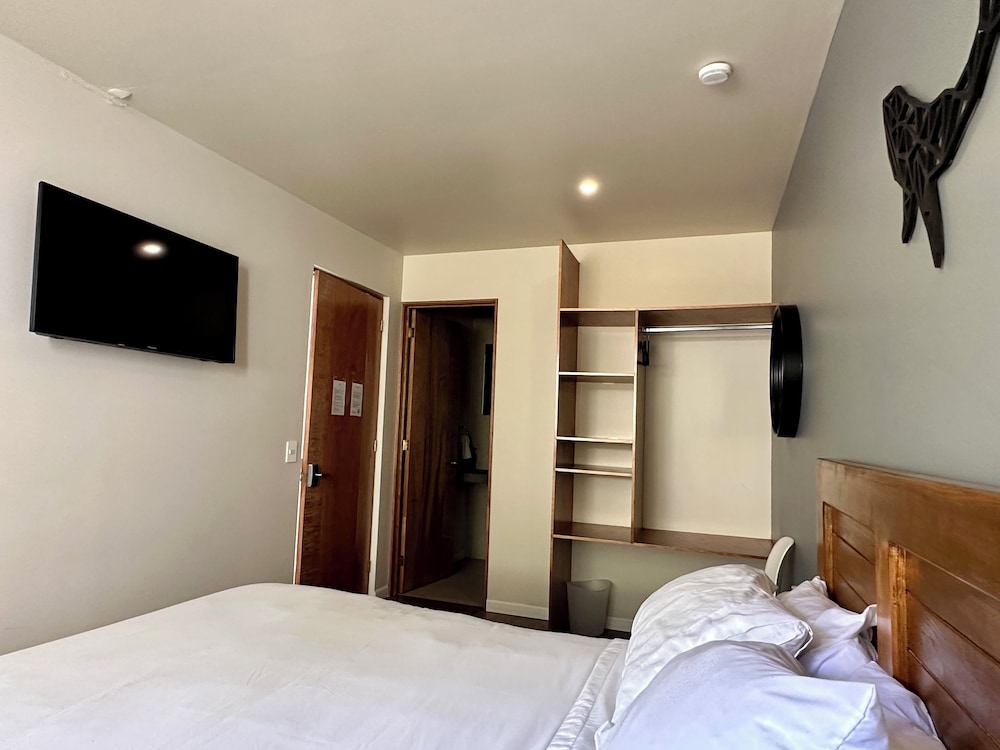 Elite Room, 1 Queen Bed photo 2