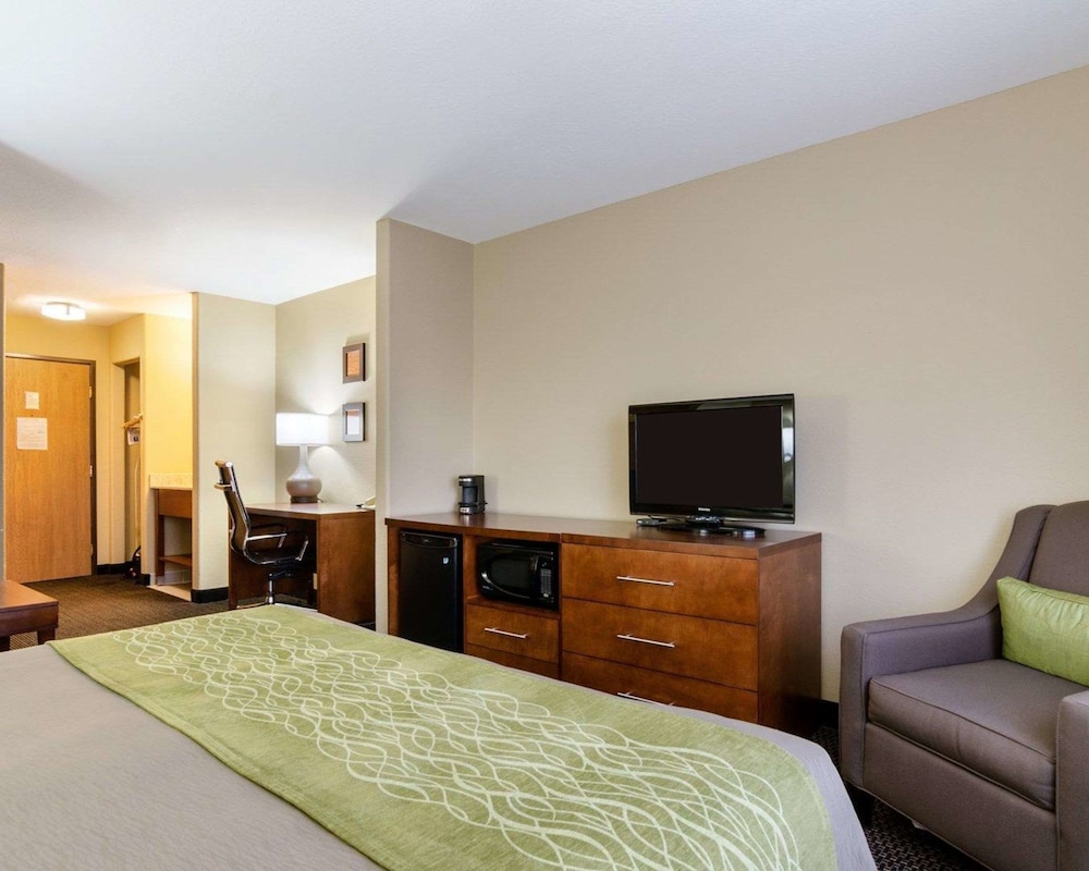 Suite, 1 King Bed with Sofa bed, Non Smoking (Upgrade) - Photo 1