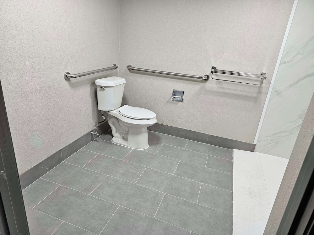 Standard Room, 1 King Bed, Accessible, Refrigerator & Microwave - Photo 8