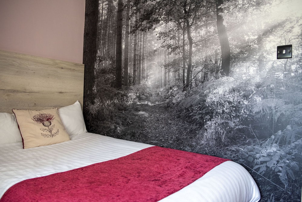 Superior Single Room, 1 Bedroom, Ensuite, Garden View photo 3