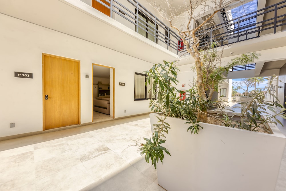 Premium Apartment photo 3