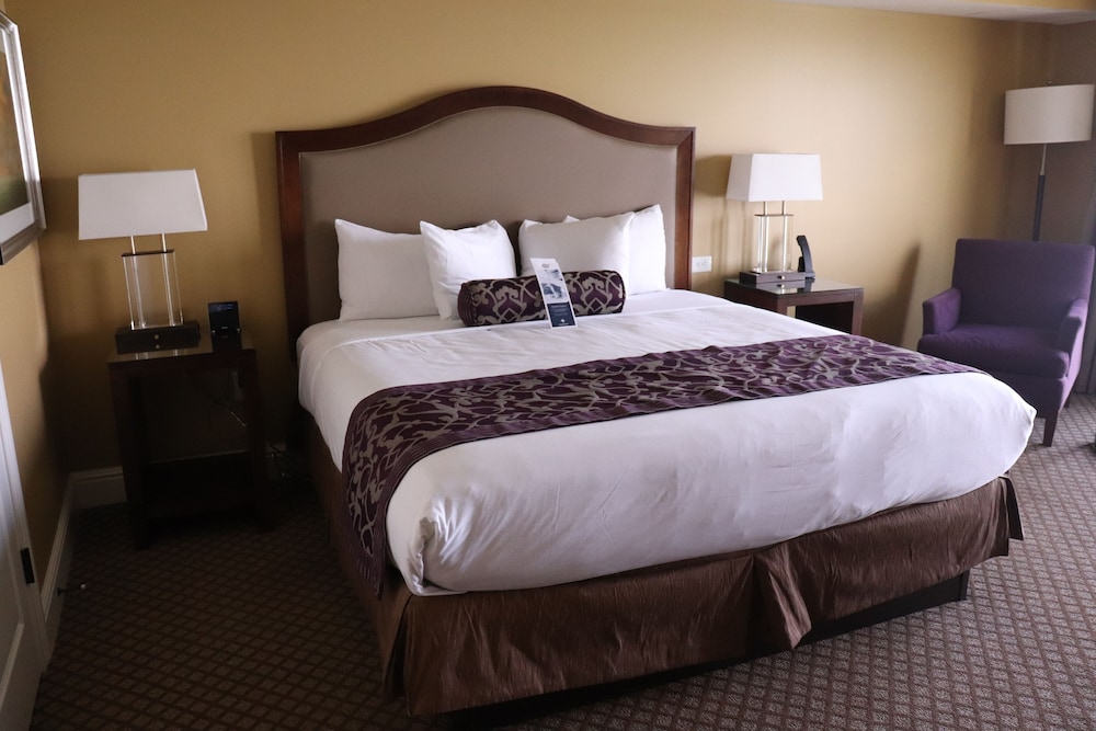 ADA Lakeshore Queen  (1 Queen Bed) photo 2
