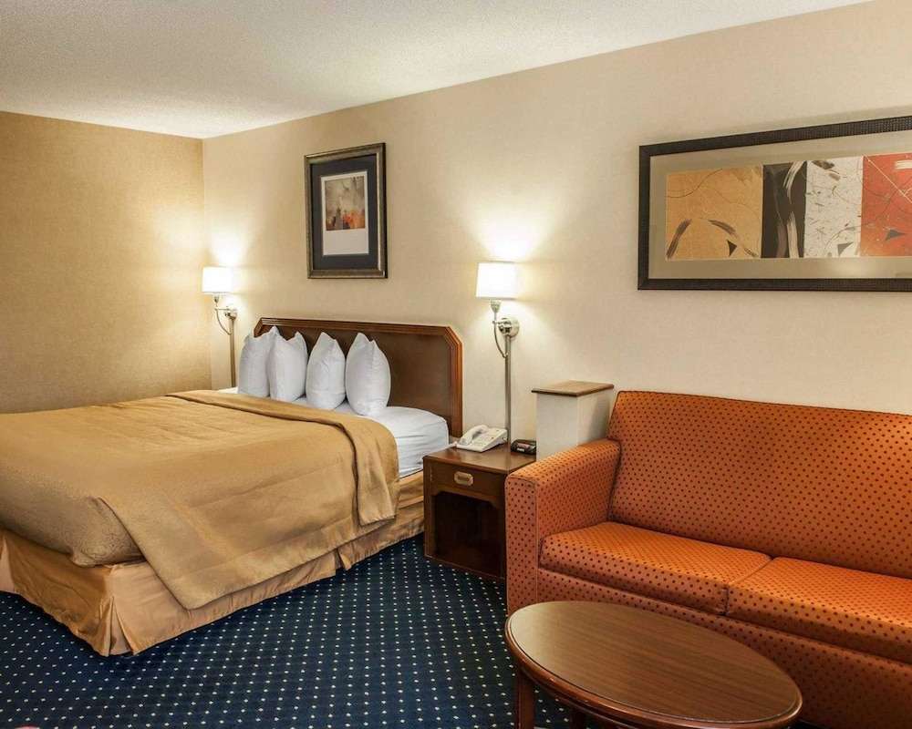 Standard Room, 1 King Bed with Sofa bed, Non Smoking - Photo 5