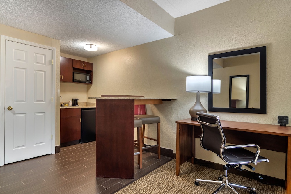 Suite, 1 King Bed with Sofa bed, Non Smoking (with Wetbar) - Photo 4